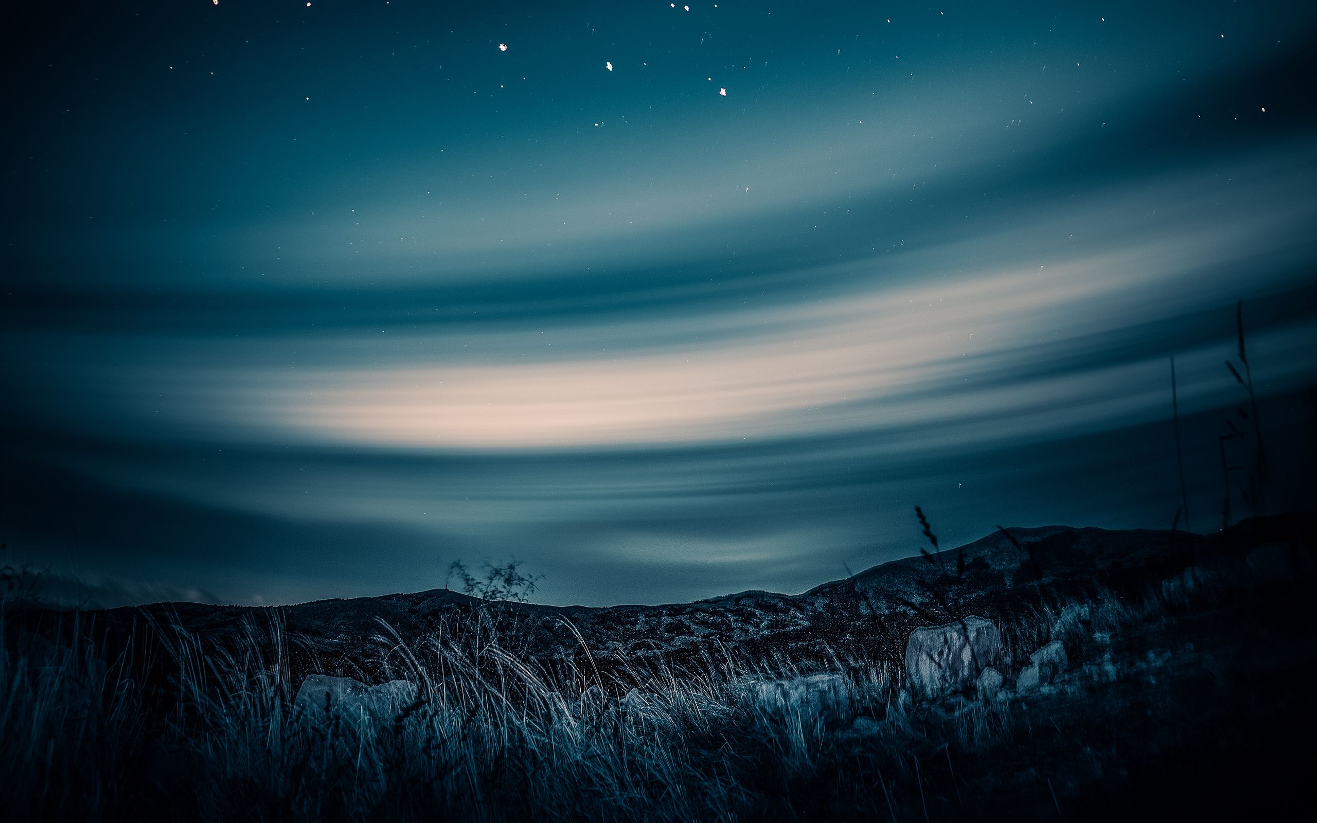 Download wallpaper 2560x1600 starry sky, horizon, night, grass