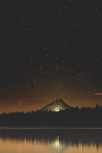 Preview wallpaper starry sky, lake, mountain, trees, night, timothy lake, united states