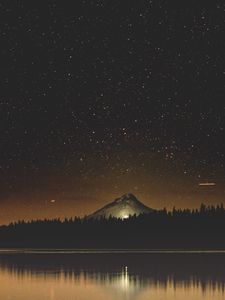 Preview wallpaper starry sky, lake, mountain, trees, night, timothy lake, united states