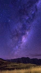 Preview wallpaper starry sky, milky way, horizon, field, night