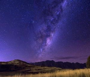 Preview wallpaper starry sky, milky way, horizon, field, night