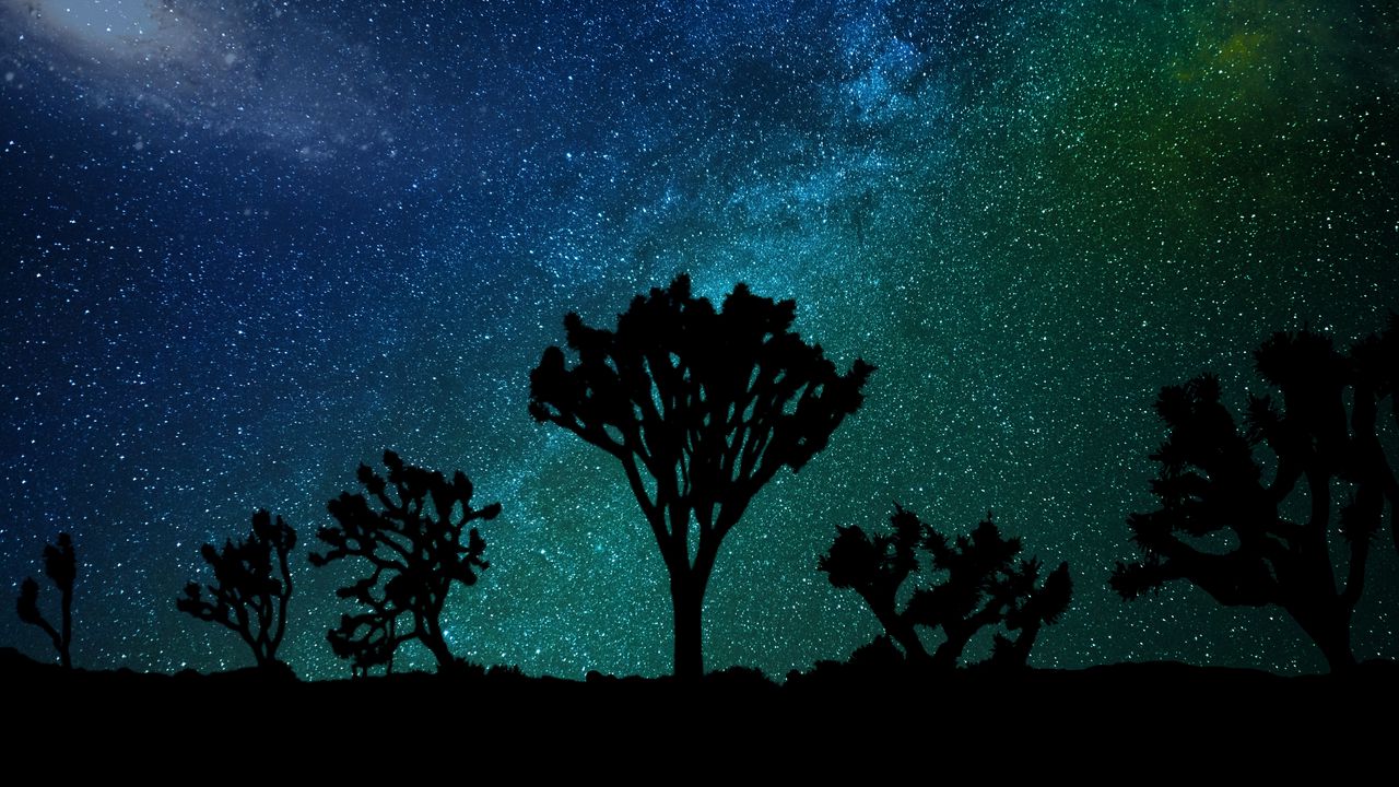 Wallpaper starry sky, milky way, joshua tree