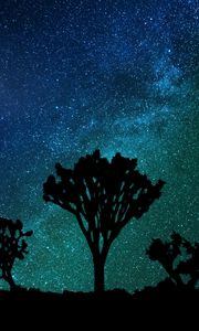 Preview wallpaper starry sky, milky way, joshua tree
