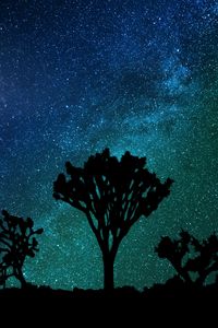 Preview wallpaper starry sky, milky way, joshua tree