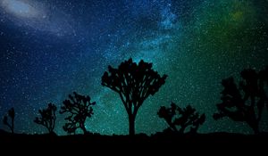 Preview wallpaper starry sky, milky way, joshua tree