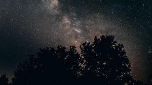 Preview wallpaper starry sky, milky way, night, trees, stars