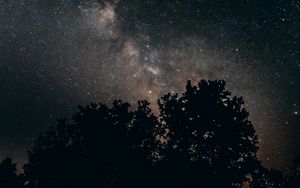 Preview wallpaper starry sky, milky way, night, trees, stars