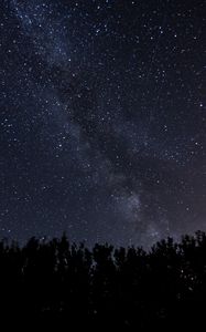 Preview wallpaper starry sky, milky way, night, trees, dark, shine