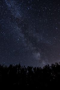 Preview wallpaper starry sky, milky way, night, trees, dark, shine