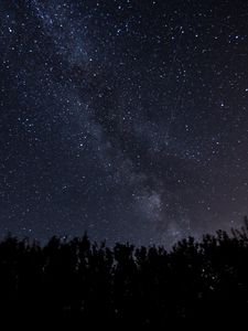Preview wallpaper starry sky, milky way, night, trees, dark, shine