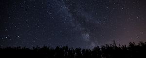 Preview wallpaper starry sky, milky way, night, trees, dark, shine