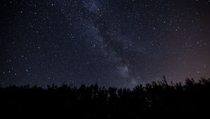 Preview wallpaper starry sky, milky way, night, trees, dark, shine