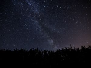 Preview wallpaper starry sky, milky way, night, trees, dark, shine