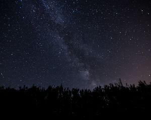 Preview wallpaper starry sky, milky way, night, trees, dark, shine