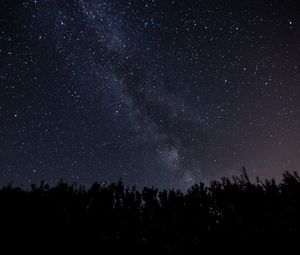 Preview wallpaper starry sky, milky way, night, trees, dark, shine