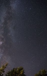 Preview wallpaper starry sky, milky way, stars, night, tops