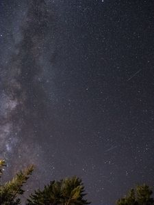 Preview wallpaper starry sky, milky way, stars, night, tops