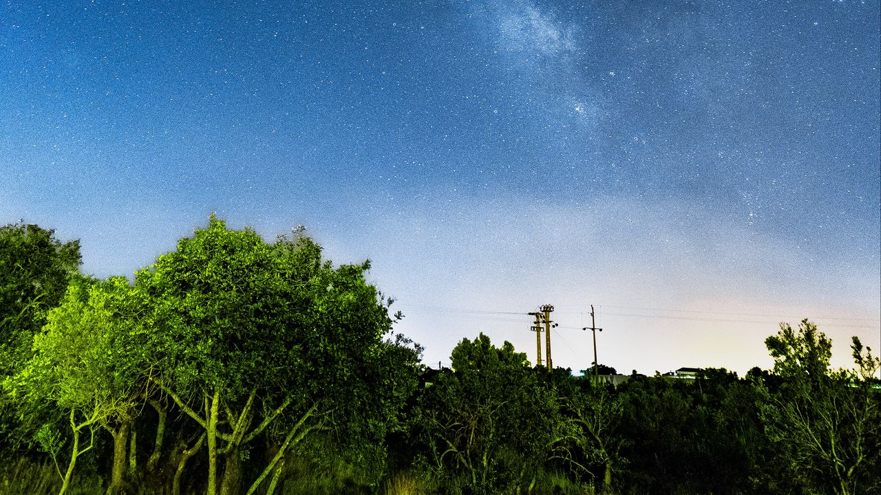 Wallpaper starry sky, milky way, stars, night, trees