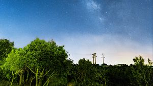 Preview wallpaper starry sky, milky way, stars, night, trees
