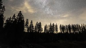 Preview wallpaper starry sky, milky way, stars, trees, night