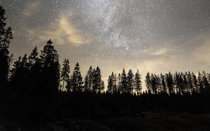 Preview wallpaper starry sky, milky way, stars, trees, night