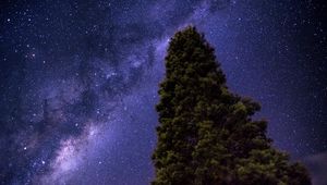 Preview wallpaper starry sky, milky way, tree, stars