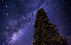 Preview wallpaper starry sky, milky way, tree, stars