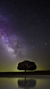 Preview wallpaper starry sky, milky way, tree, horizon, coast, night