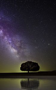 Preview wallpaper starry sky, milky way, tree, horizon, coast, night