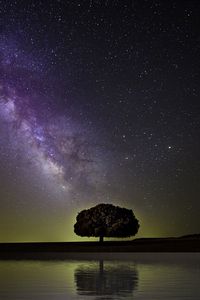 Preview wallpaper starry sky, milky way, tree, horizon, coast, night