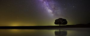 Preview wallpaper starry sky, milky way, tree, horizon, coast, night