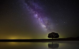 Preview wallpaper starry sky, milky way, tree, horizon, coast, night