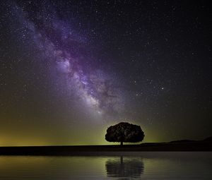 Preview wallpaper starry sky, milky way, tree, horizon, coast, night