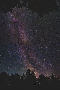 Preview wallpaper starry sky, milky way, trees, stars, night, shine, dark