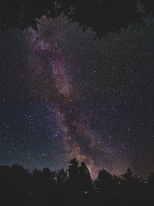 Preview wallpaper starry sky, milky way, trees, stars, night, shine, dark