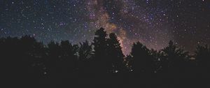 Preview wallpaper starry sky, milky way, trees, stars, night, shine, dark