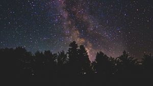 Preview wallpaper starry sky, milky way, trees, stars, night, shine, dark