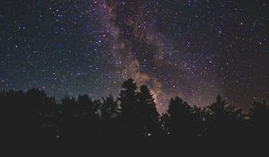 Preview wallpaper starry sky, milky way, trees, stars, night, shine, dark