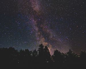 Preview wallpaper starry sky, milky way, trees, stars, night, shine, dark