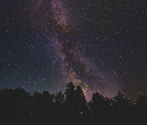 Preview wallpaper starry sky, milky way, trees, stars, night, shine, dark