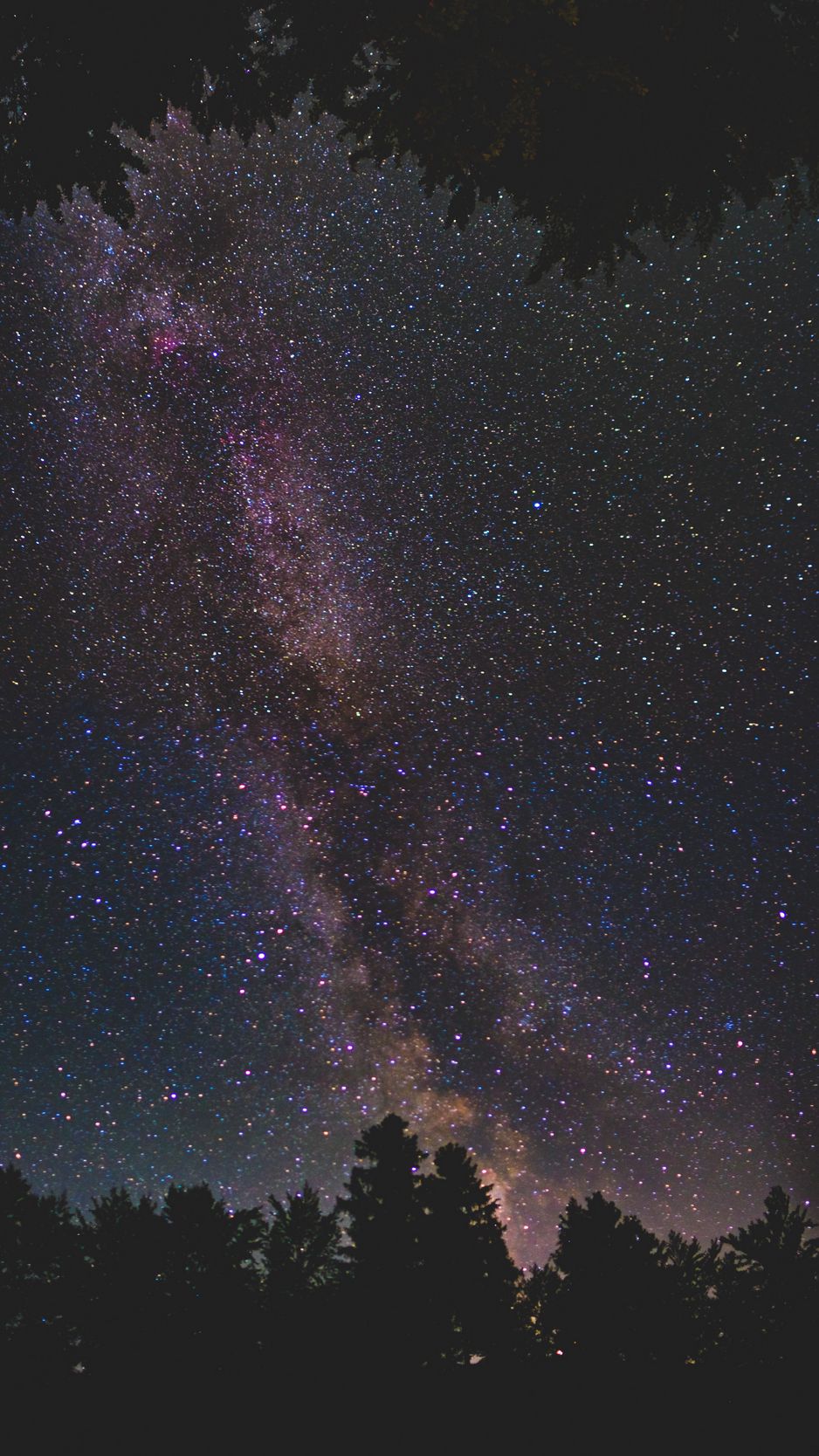 Download Wallpaper 938x1668 Starry Sky Milky Way Trees Stars Night