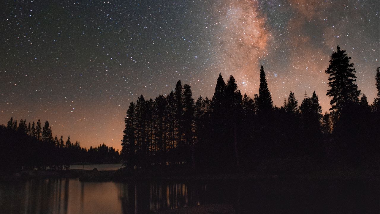 Wallpaper starry sky, milky way, trees, lake, night, stars