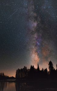 Preview wallpaper starry sky, milky way, trees, lake, night, stars