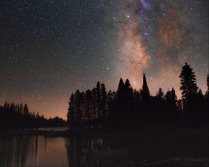 Preview wallpaper starry sky, milky way, trees, lake, night, stars