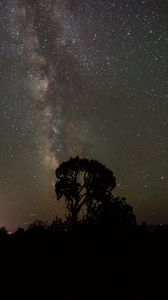 Preview wallpaper starry sky, milky way, trees, night, silhouettes, outlines, dark