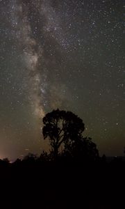 Preview wallpaper starry sky, milky way, trees, night, silhouettes, outlines, dark