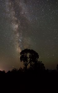 Preview wallpaper starry sky, milky way, trees, night, silhouettes, outlines, dark