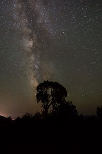 Preview wallpaper starry sky, milky way, trees, night, silhouettes, outlines, dark