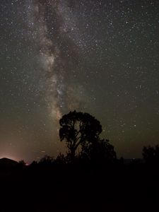 Preview wallpaper starry sky, milky way, trees, night, silhouettes, outlines, dark