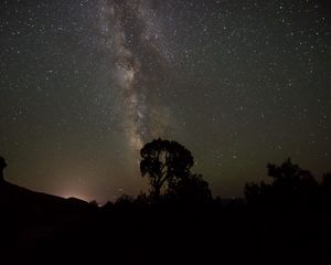 Preview wallpaper starry sky, milky way, trees, night, silhouettes, outlines, dark